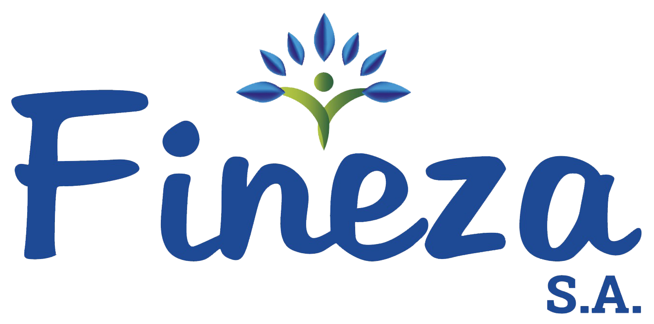 logo fineza final
